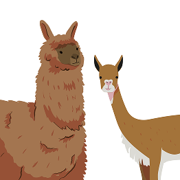 3Camélidos (alpacas y vicuñas)