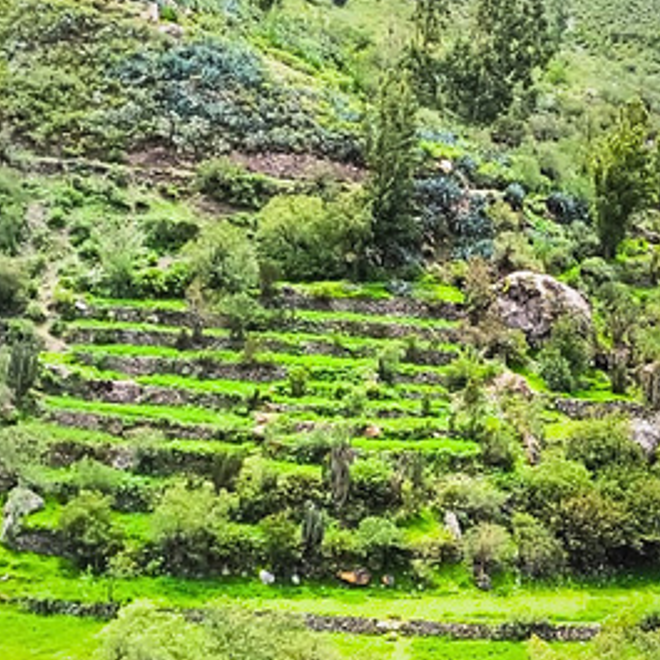 Restauración de andenes y terrazas