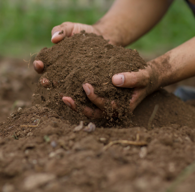 Manejo integrado de la fertilidad del suelo