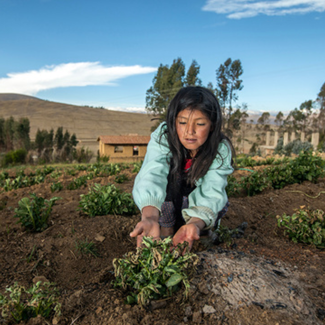 Agricultura de contorno