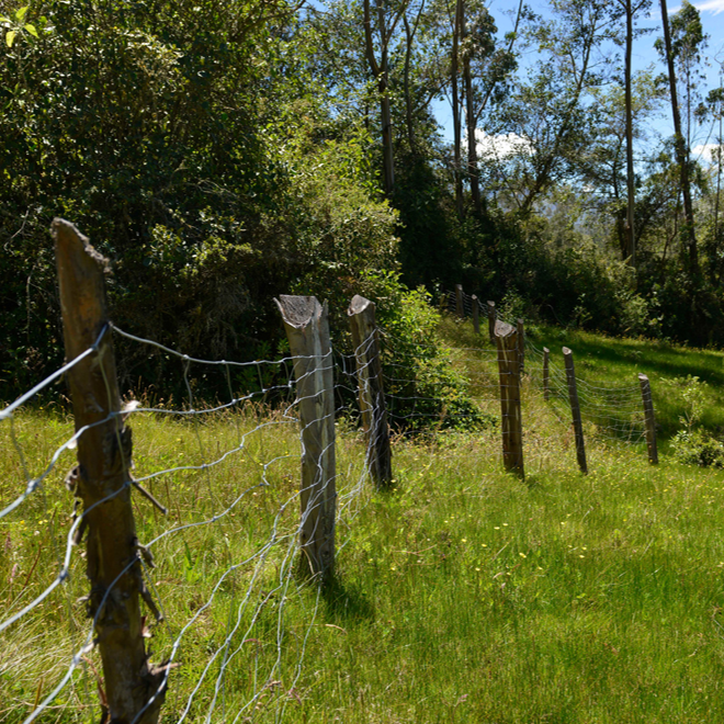 Manejo sostenible de pasturas naturales