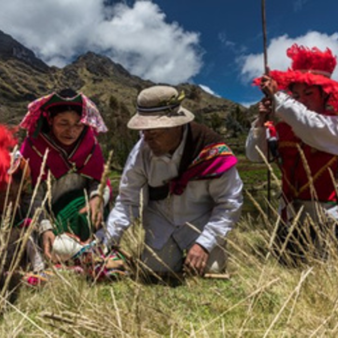 Agricultura de conservación