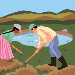 Cultivos altoandinos