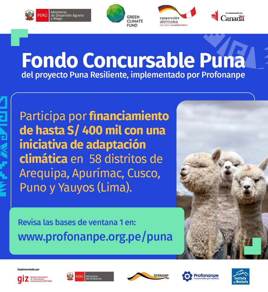 ¡Financiamiento de hasta S/400 mil en el Fondo Concursable Puna!