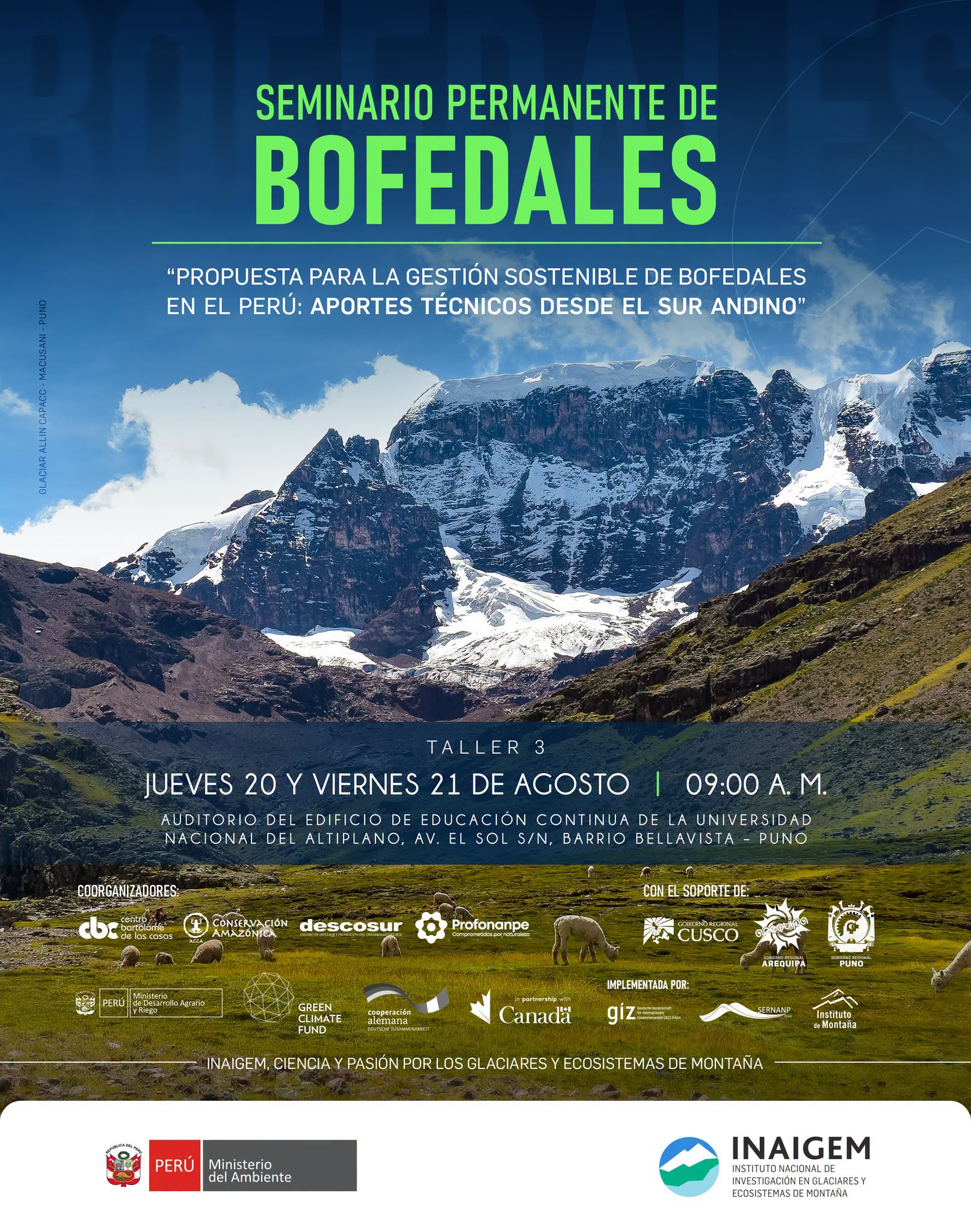 III Taller "Propuesta para la gestión sostenible de bofedales en el Perú: Aportes técnicos desde el sur andino"