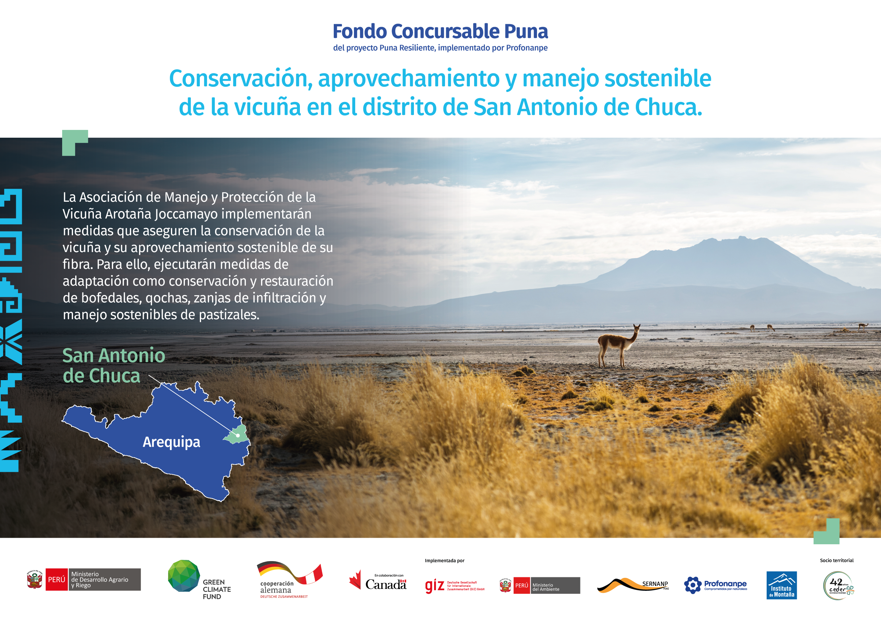 Conservación, aprovechamiento y manejo sostenible de la vicuña