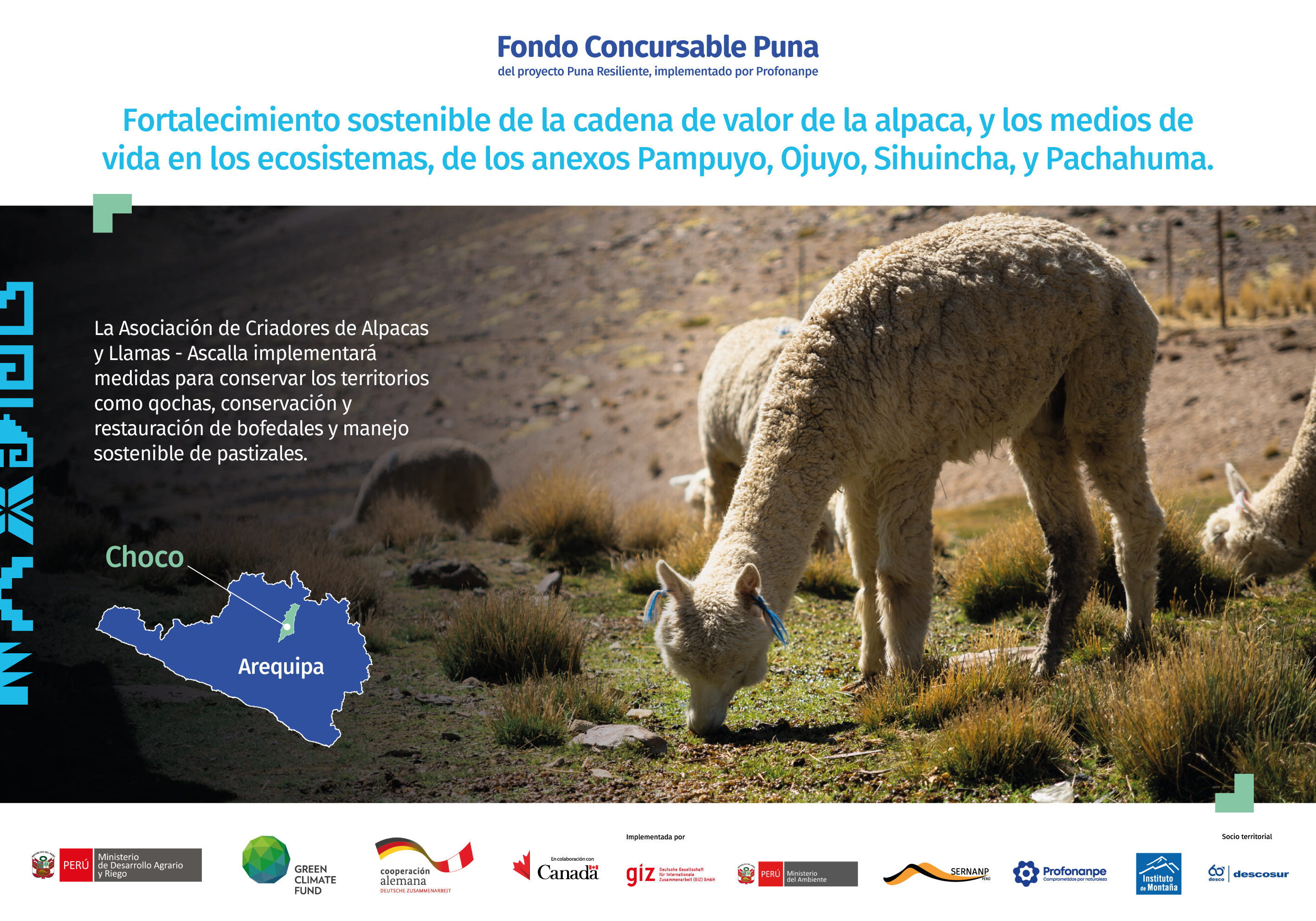 Fortalecimiento sostenible de la cadena de valor de la alpaca, y los medios de vida en los ecosistemas, de los anexos Pampuyo, Ojuyo, Sihuincha, y Pachahuma