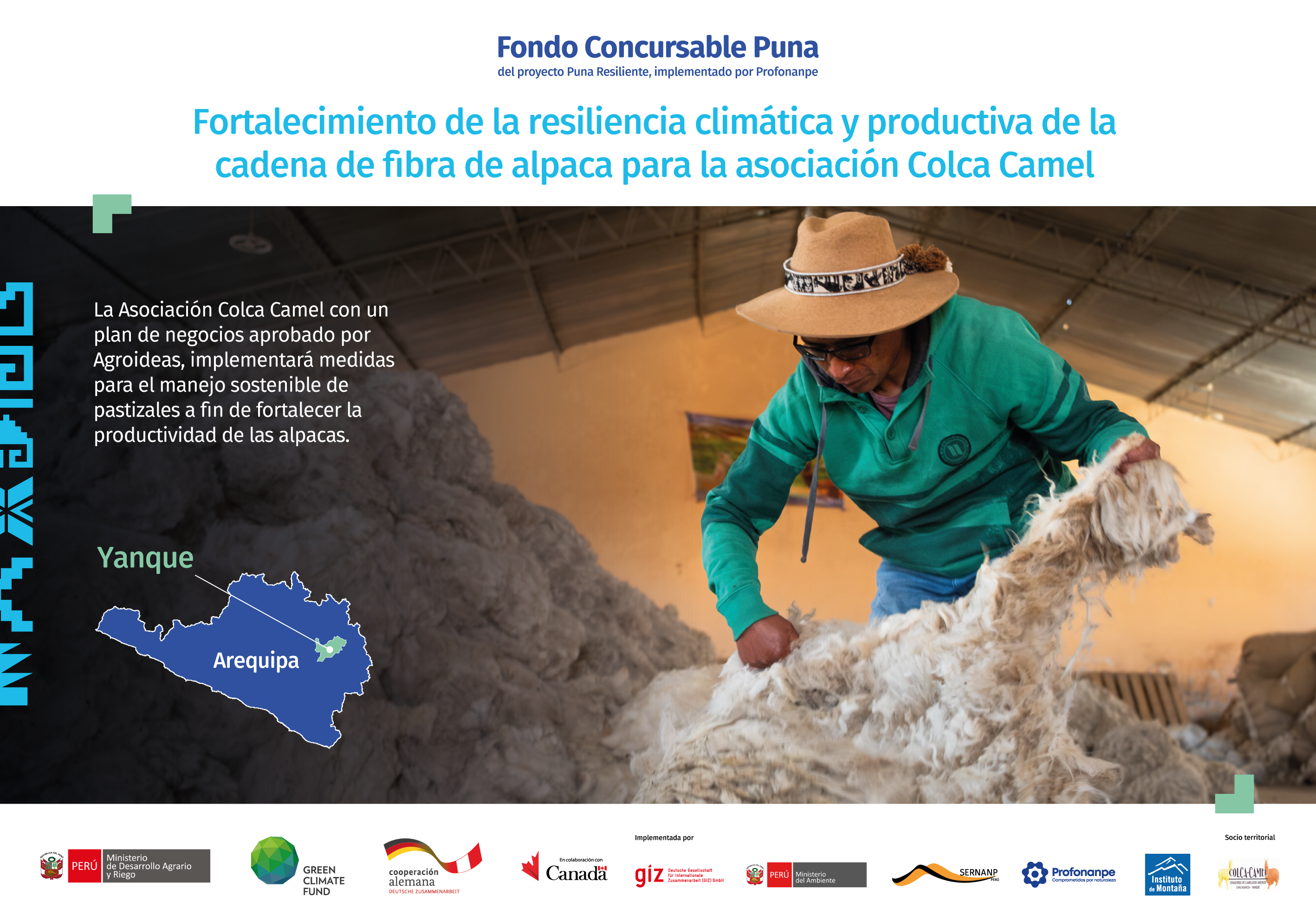 Fortalecimiento de la resiliencia climática y productiva de la cadena de fibra de alpaca para la asociación Colca Camel
