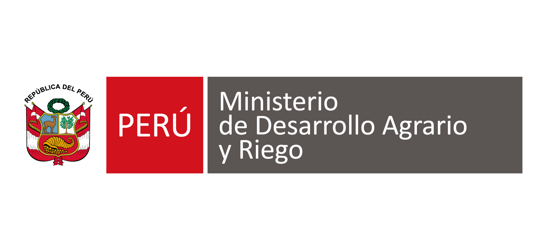 Puna Resiliente