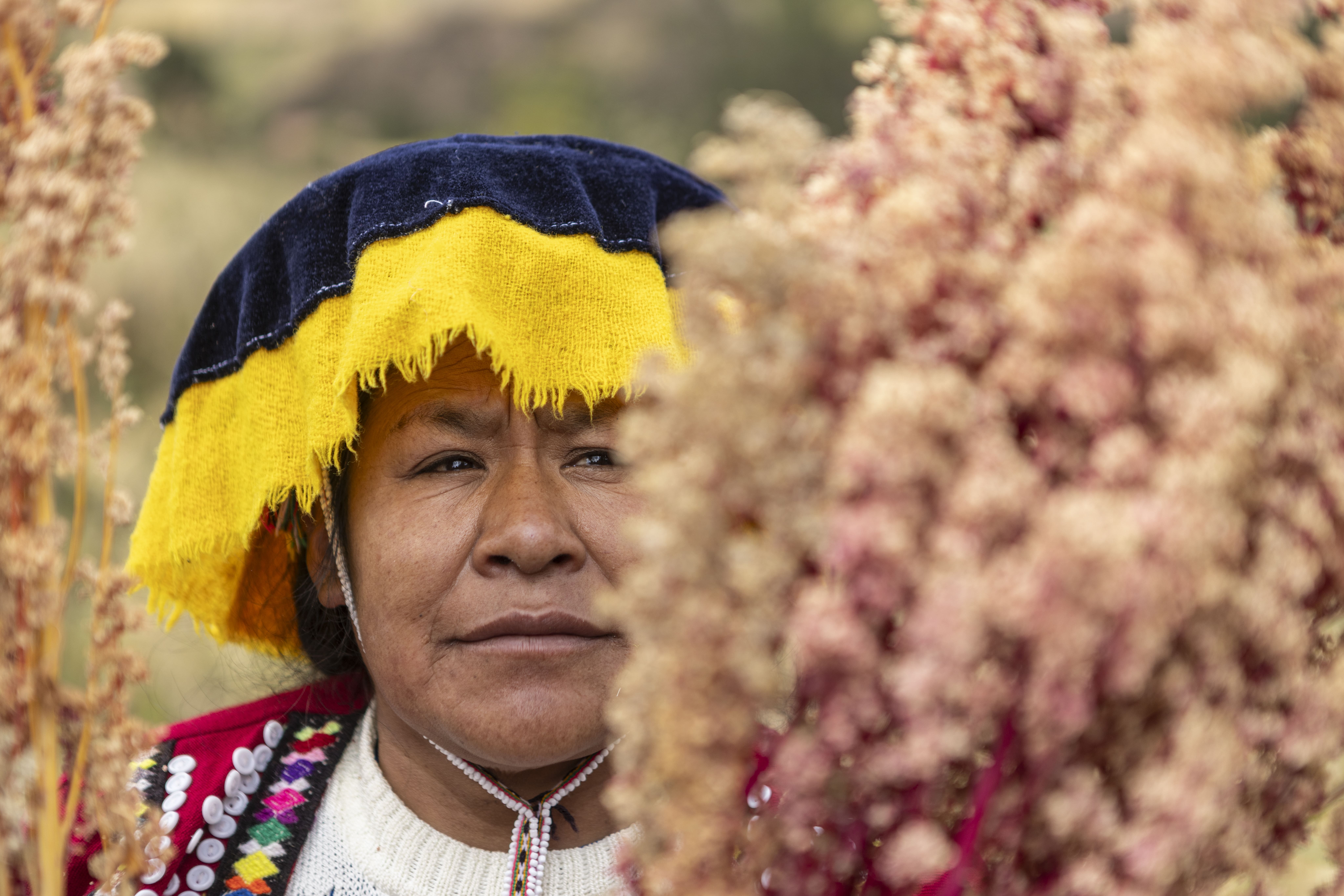 Artesanas y productoras de fibra de Alpaca y Quinua llevarán sus historias de resiliencia a la Expoagraria 2026