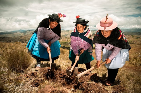 MIDAGRI aprueba la Estrategia “Emprendimiento de la Mujer Rural e Indígena para el Año 2026”: Aspectos claves para la Puna