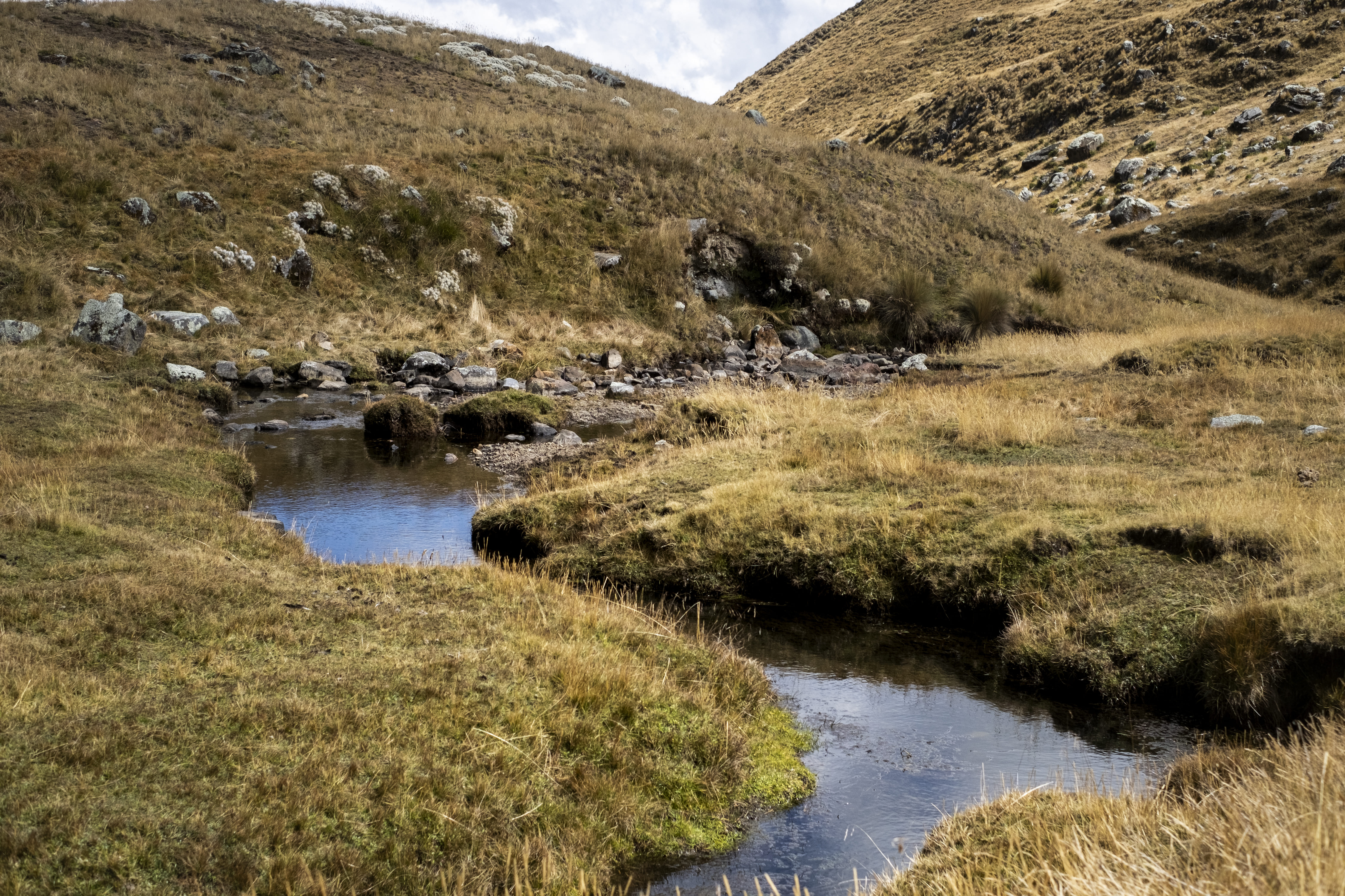 Ecosistemas altoandinos bajo la lupa: Se presenta evidencia del aporte a la regulación del agua en Los Andes