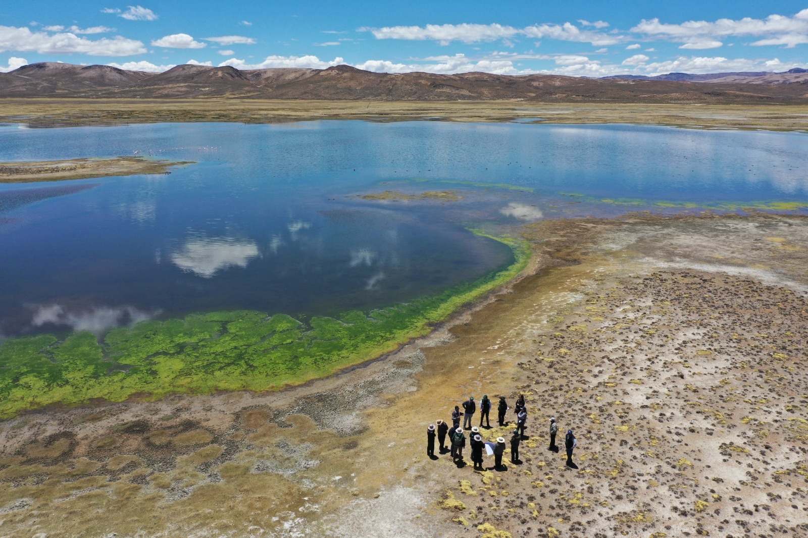 Culmina el ciclo formativo sobre Adaptación basada en Ecosistemas (AbE) en las cinco regiones de intervención de Puna Resiliente