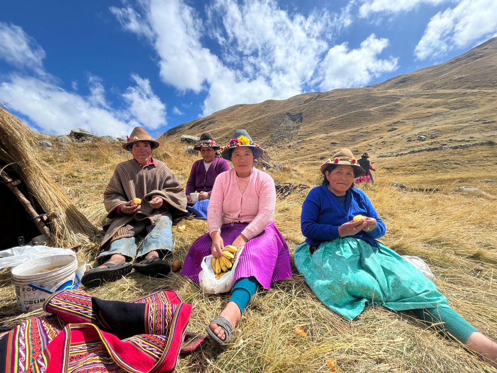 Cuña radial sobre el proyecto Puna Resiliente