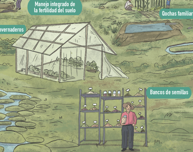 Afiche sobre las medidas AbE y CVCR - Puna Resiliente
