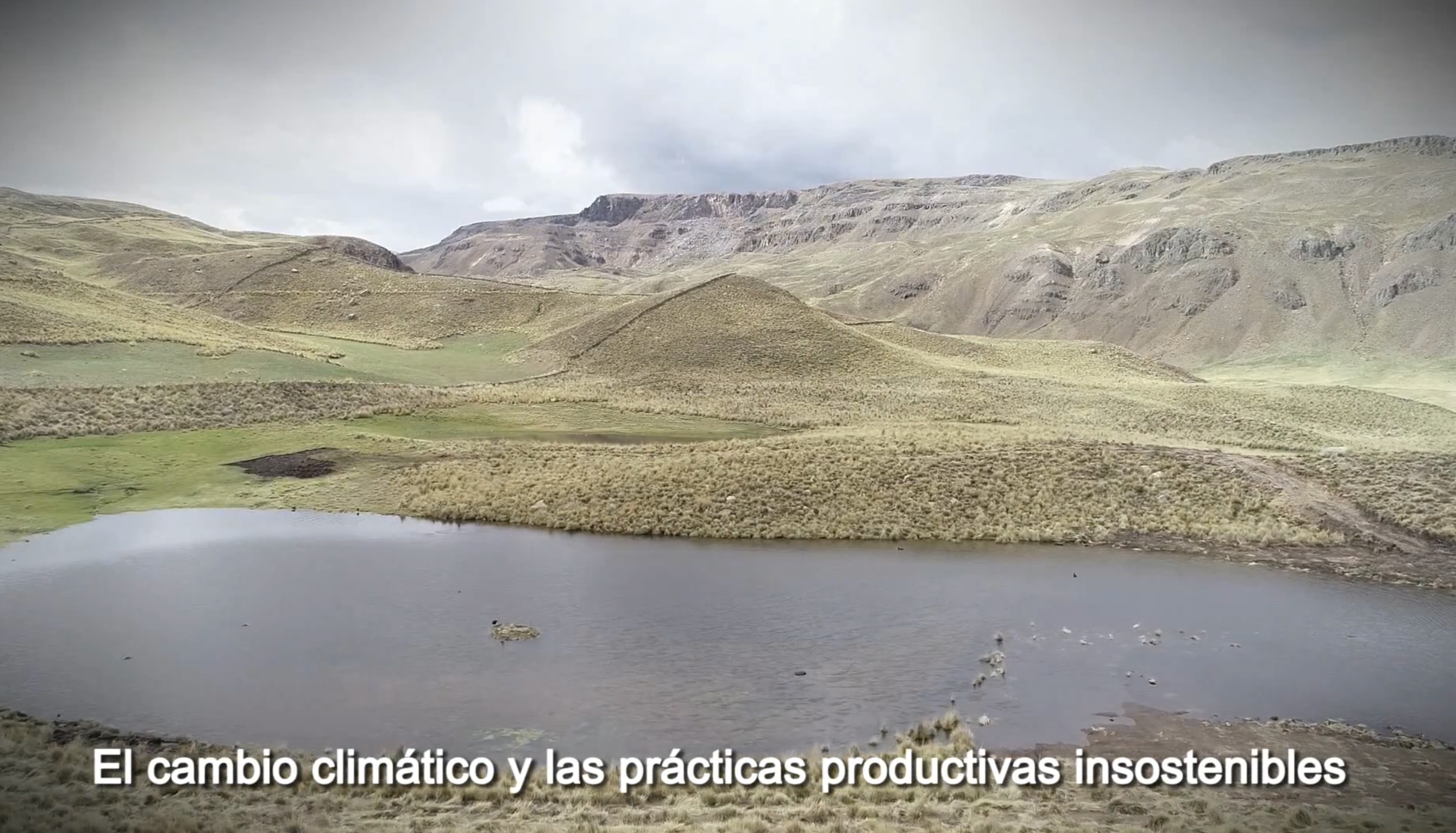 Proyecto Puna Resiliente (Quechua)