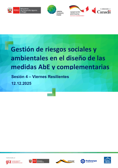 Viernes Resiliente - Sesión 4 - Gestión de riesgos sociales y ambientales en el diseño de las medidas AbE y complementarias