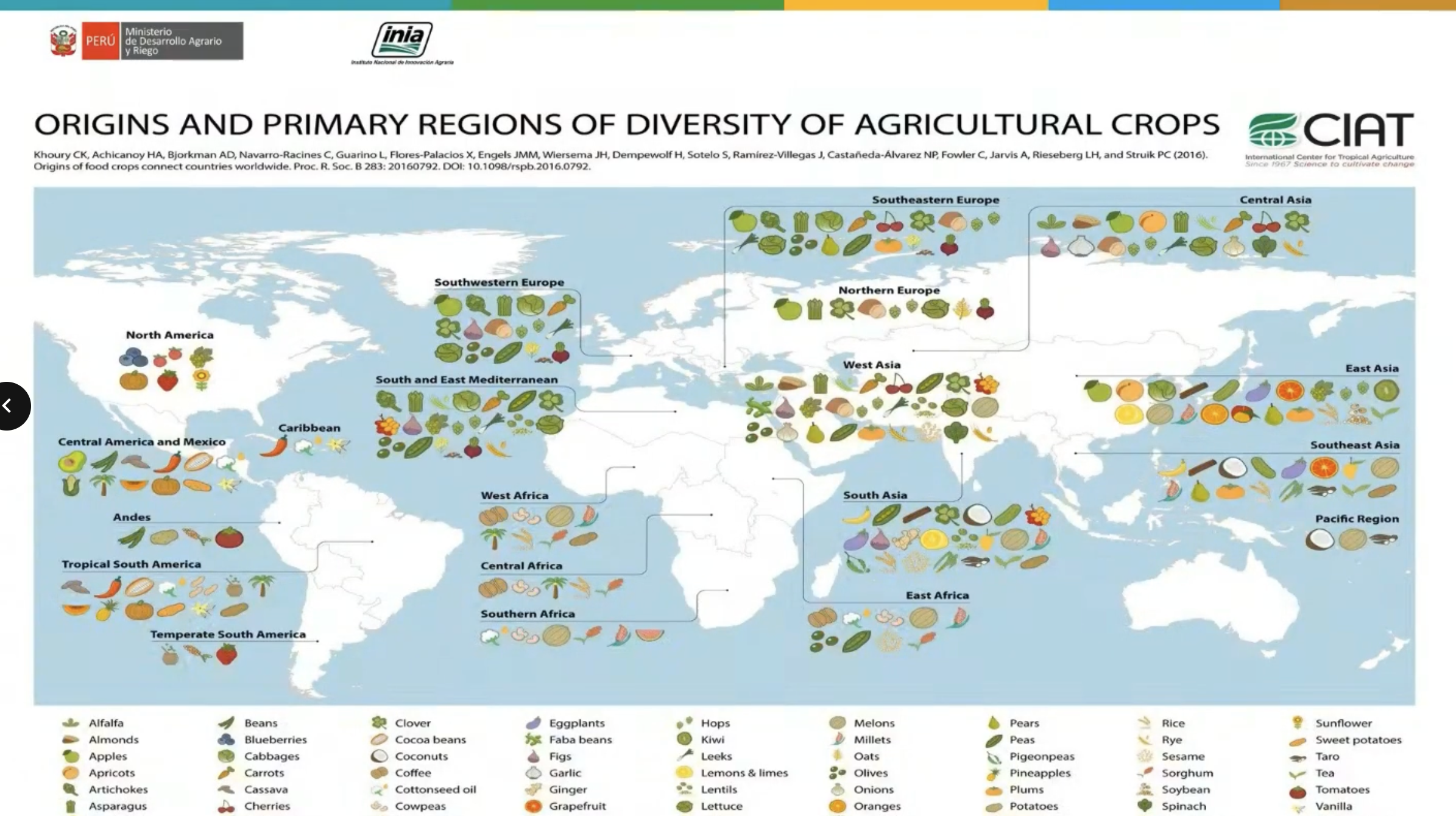 Viernes resiliente - sesión 5 (19-12-2025)