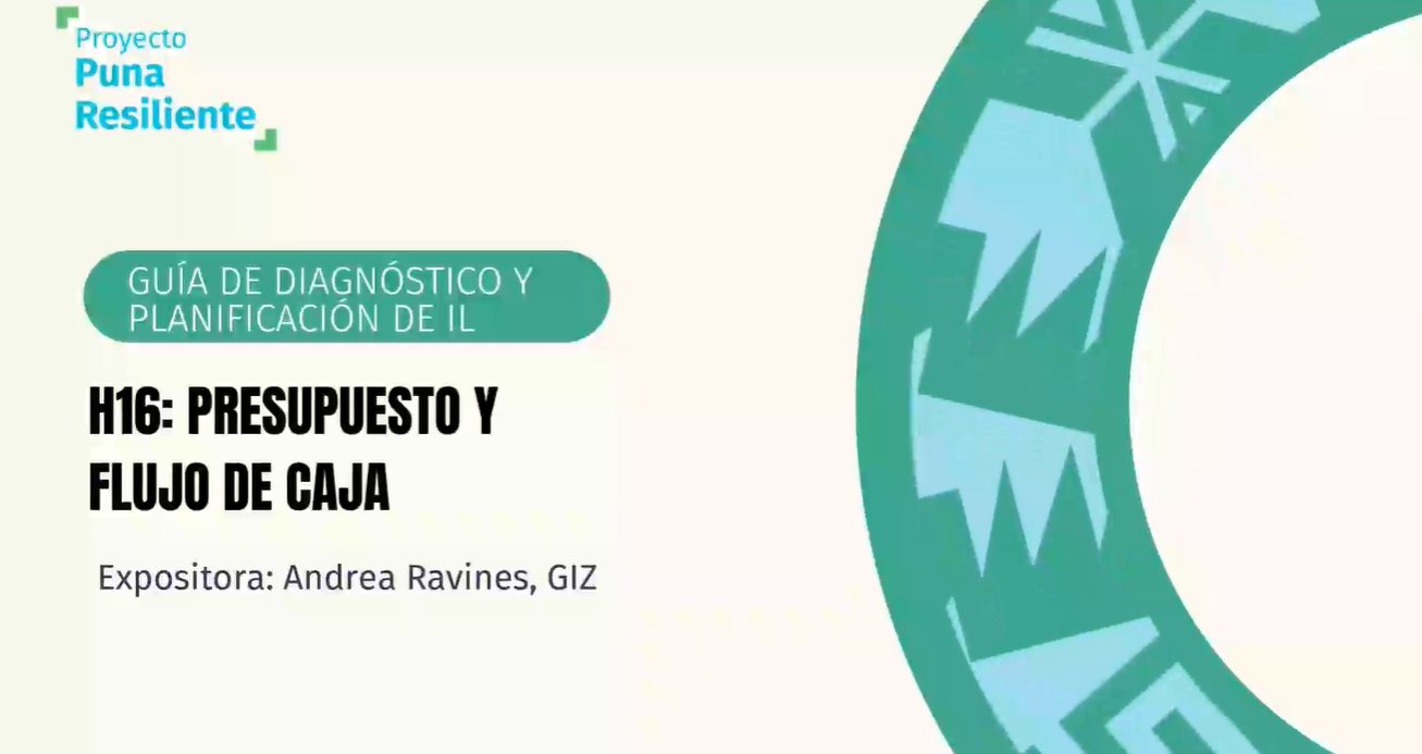 Video H16 Presupuesto y Flujo de caja