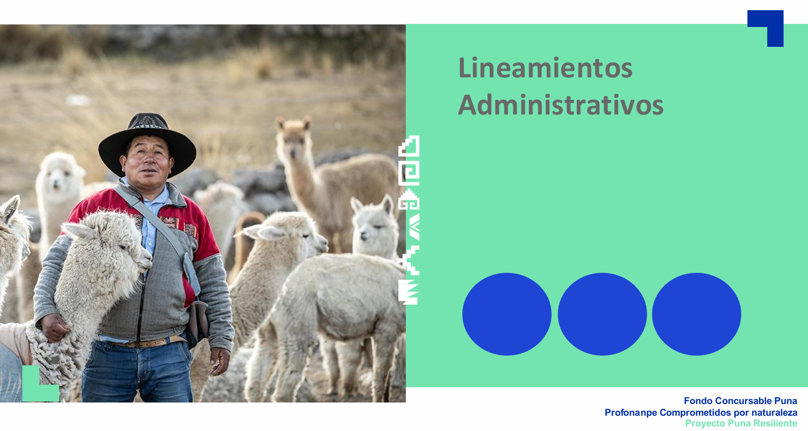 Sesión 10: Lineamientos Administrativos (Profonanpe)