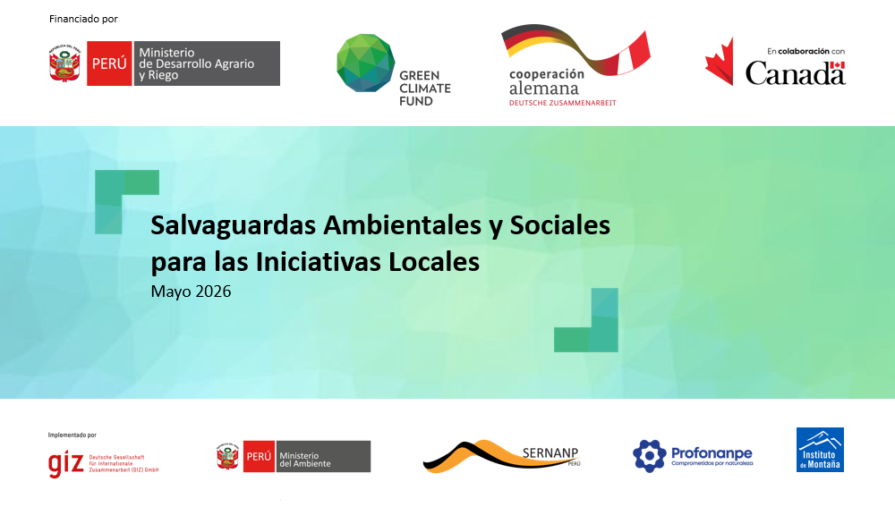 Grabación - Sesión virtual 11: Salvaguardas Sociales y Ambientales