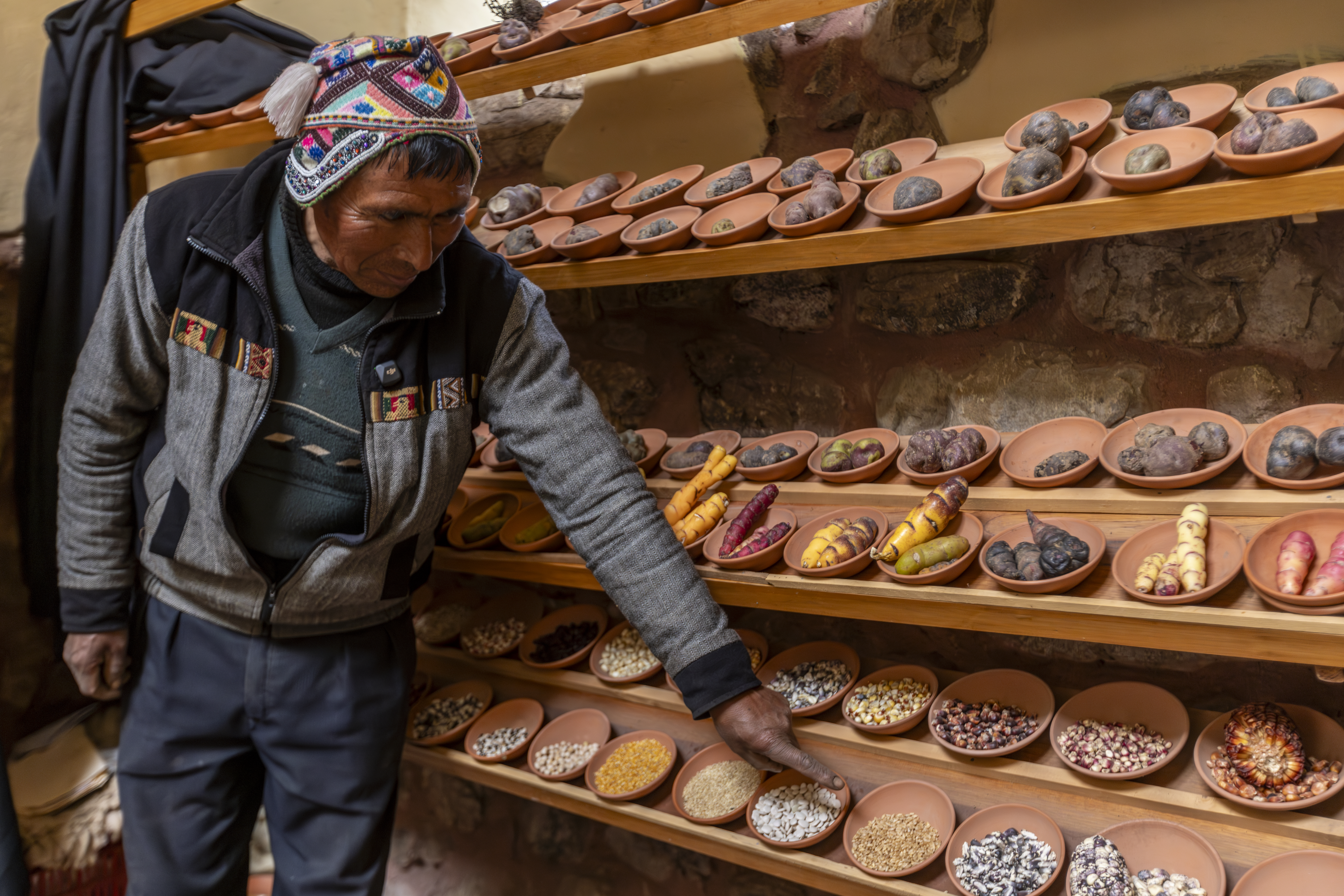 Ficha - AbE complementaria - Banco de Semillas