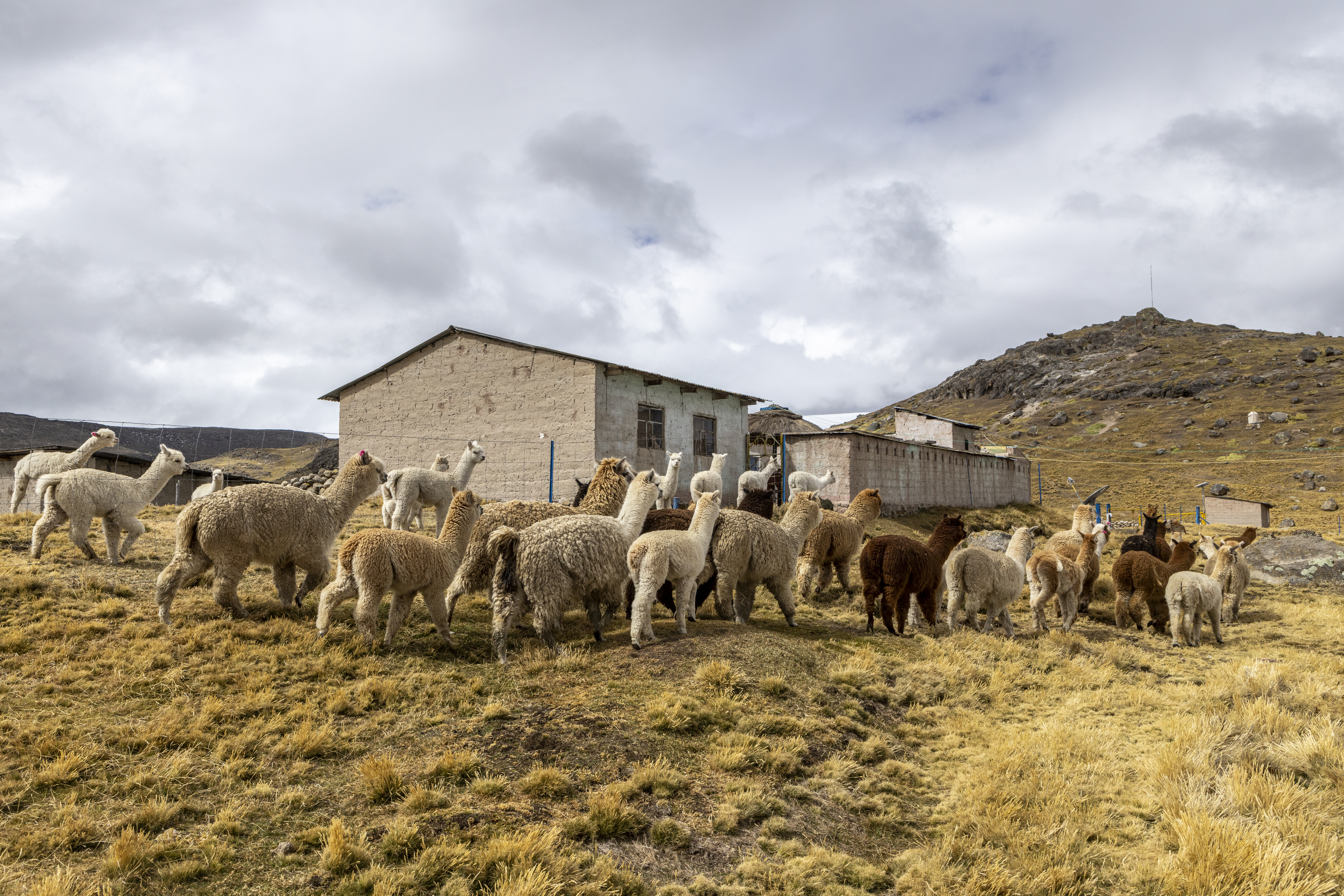Ficha - AbE complementaria - Módulos de Protección y Cobertizos