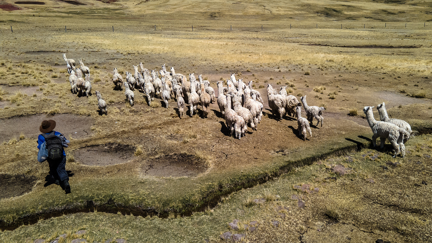 Ficha - AbE complementaria - Alertas Agrometeorológicas