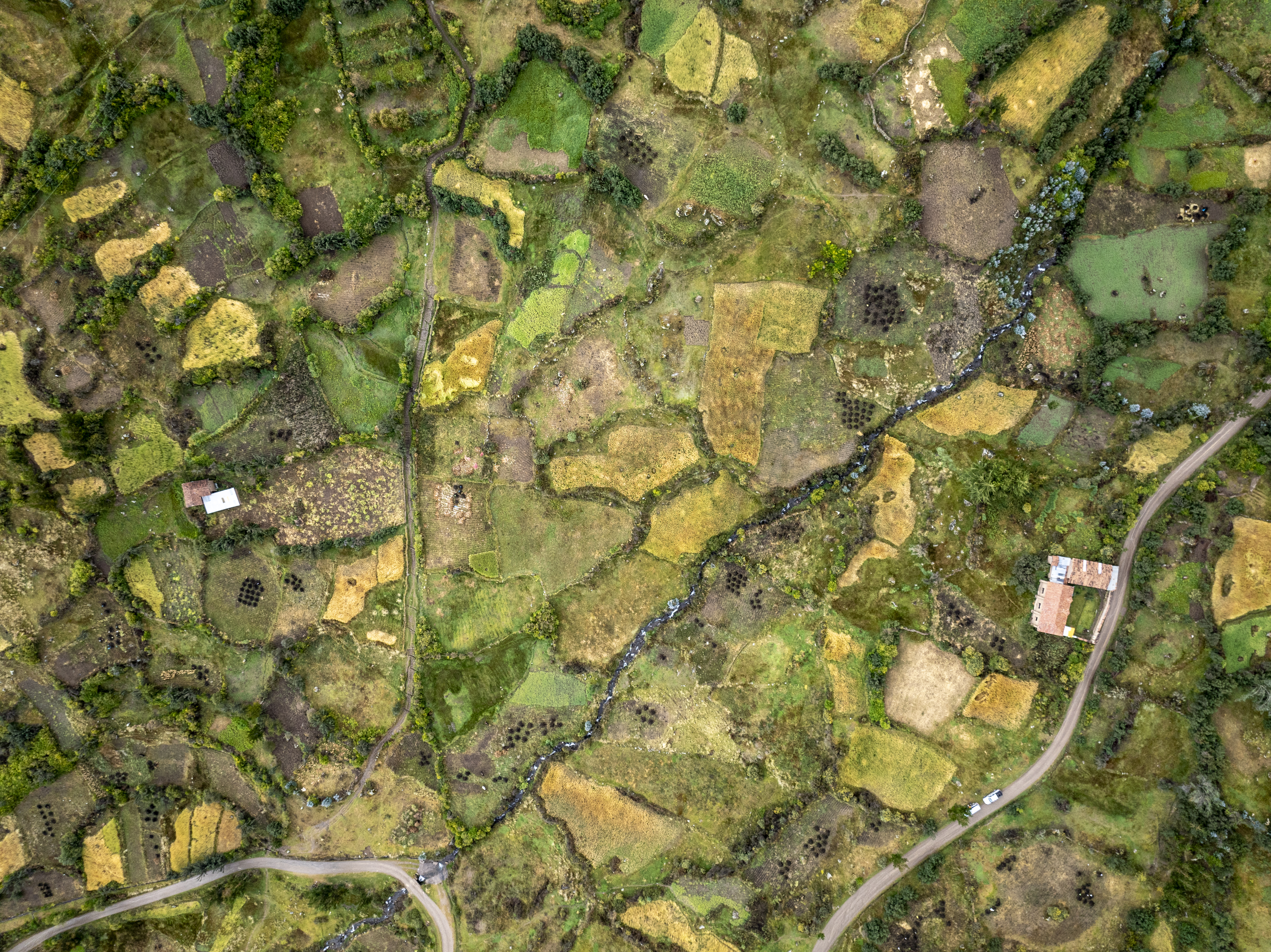 Ficha - AbE complementaria - Rotación de Cultivos