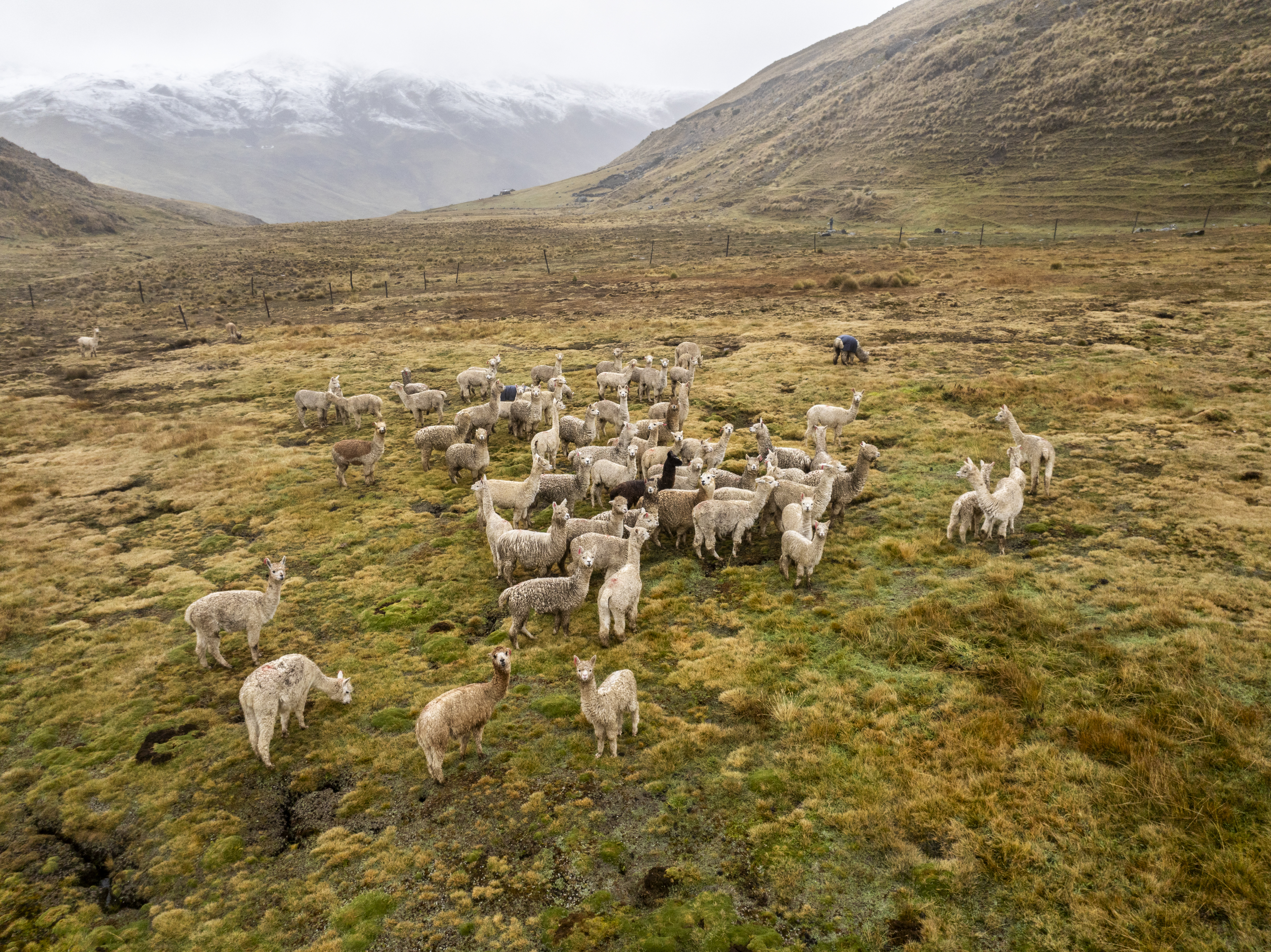 Factsheet - Puna Resiliente (Español)
