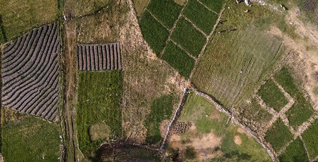 Ficha - AbE - Gestión Integrada de la Fertilidad del Suelo