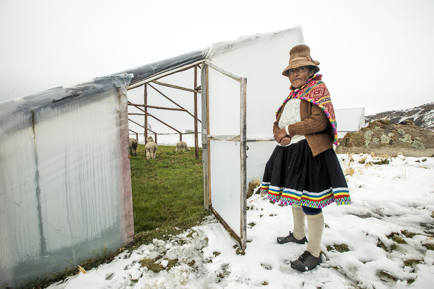 Ficha - AbE complementaria - Invernaderos
