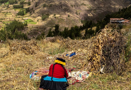 Ficha - AbE - Agricultura de Conservación