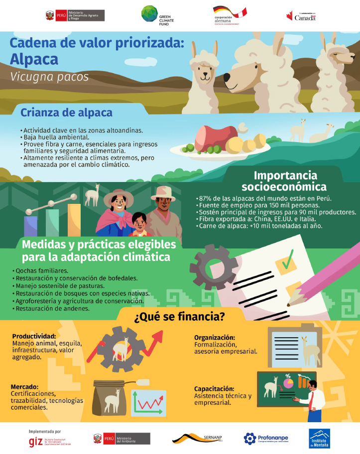 Infografía: Cadena de valor Alpaca