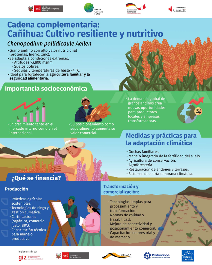Infografía: Cadena de valor Cañihua