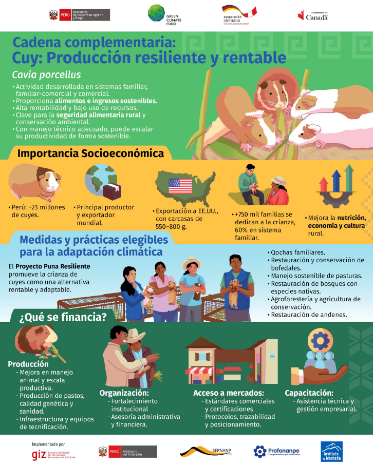 Infografía: Cadena de valor Crianza de Cuyes