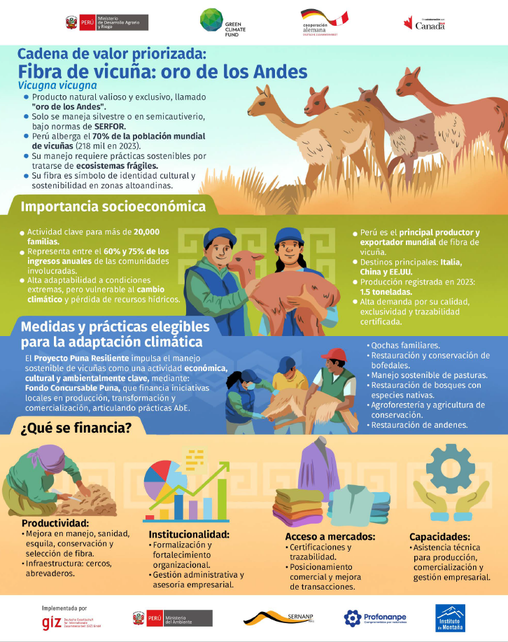 Infografía: Cadena de valor Fibra de Vicuña