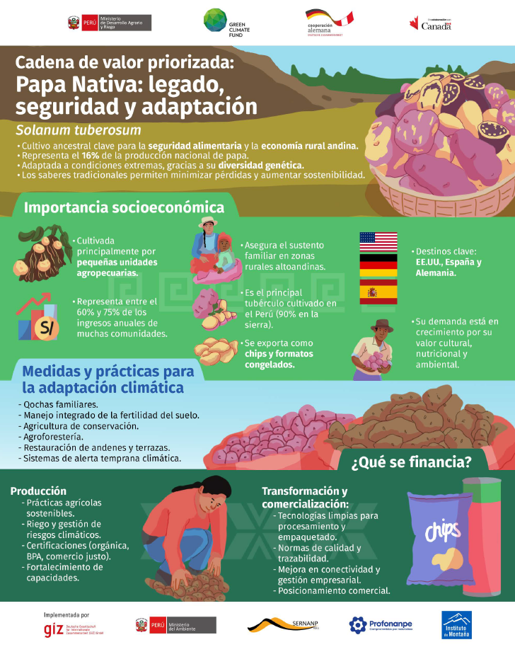 Infografía: Cadena de valor Papa Nativa
