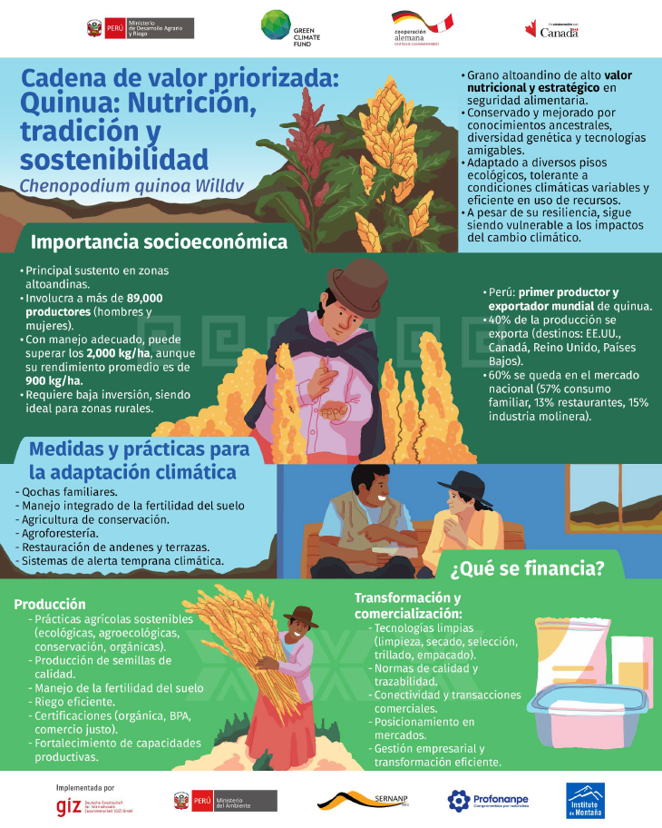 Infografia: Cadena de valor Quinua
