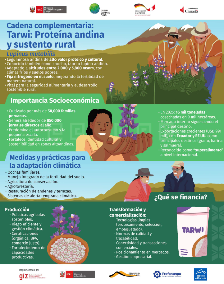 Infografía: Cadena de valor Tarwi