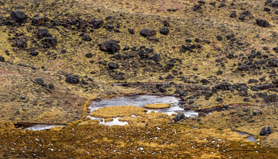 Ficha - AbE - Ficha Qochas