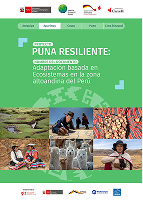 Adaptación basada en ecosistemas en la zona altoandina del peru