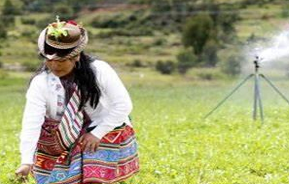 Ficha - AbE complementaria - Riego Tecnificado