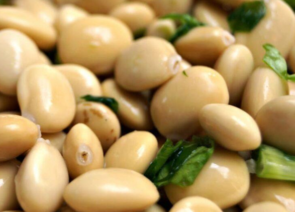 Ficha - Cadena de Valor - Tarwi